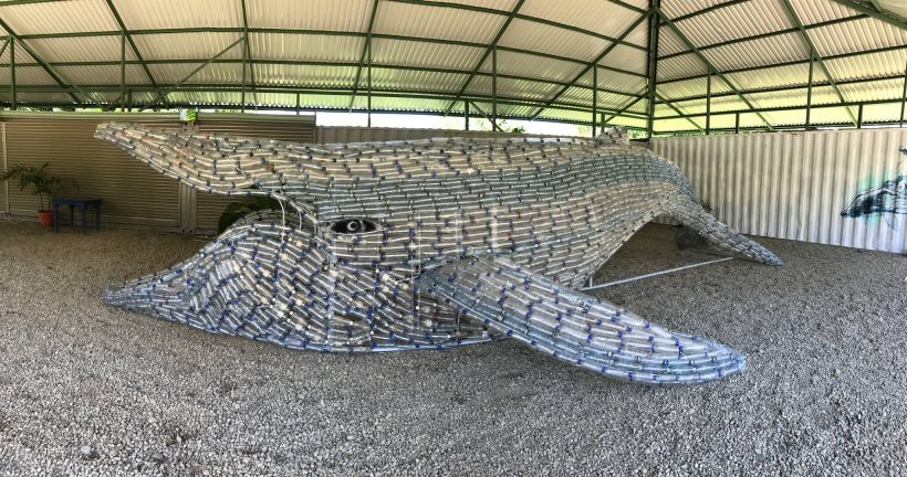 Colabore con ASANA  / Amigos of Costa Rica